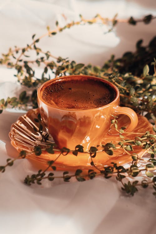 Free Closeup of a Brown Porcelain Cup with Hot Chocolate, and a Plant Decoration Stock Photo