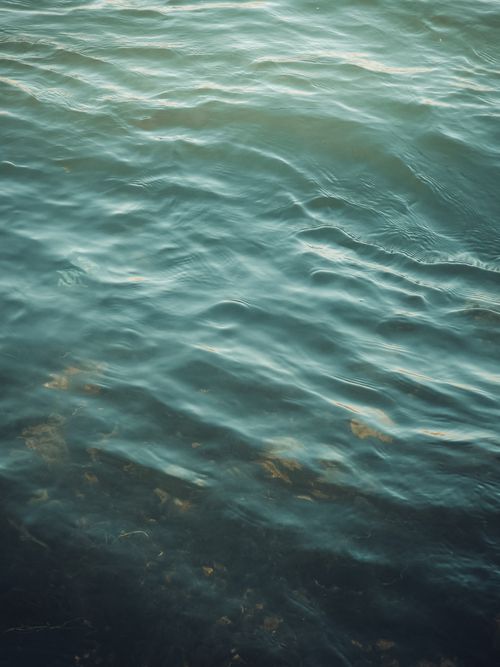 Free Serene ripples on water surface at Darbandikhan, capturing tranquility and natural beauty. Stock Photo