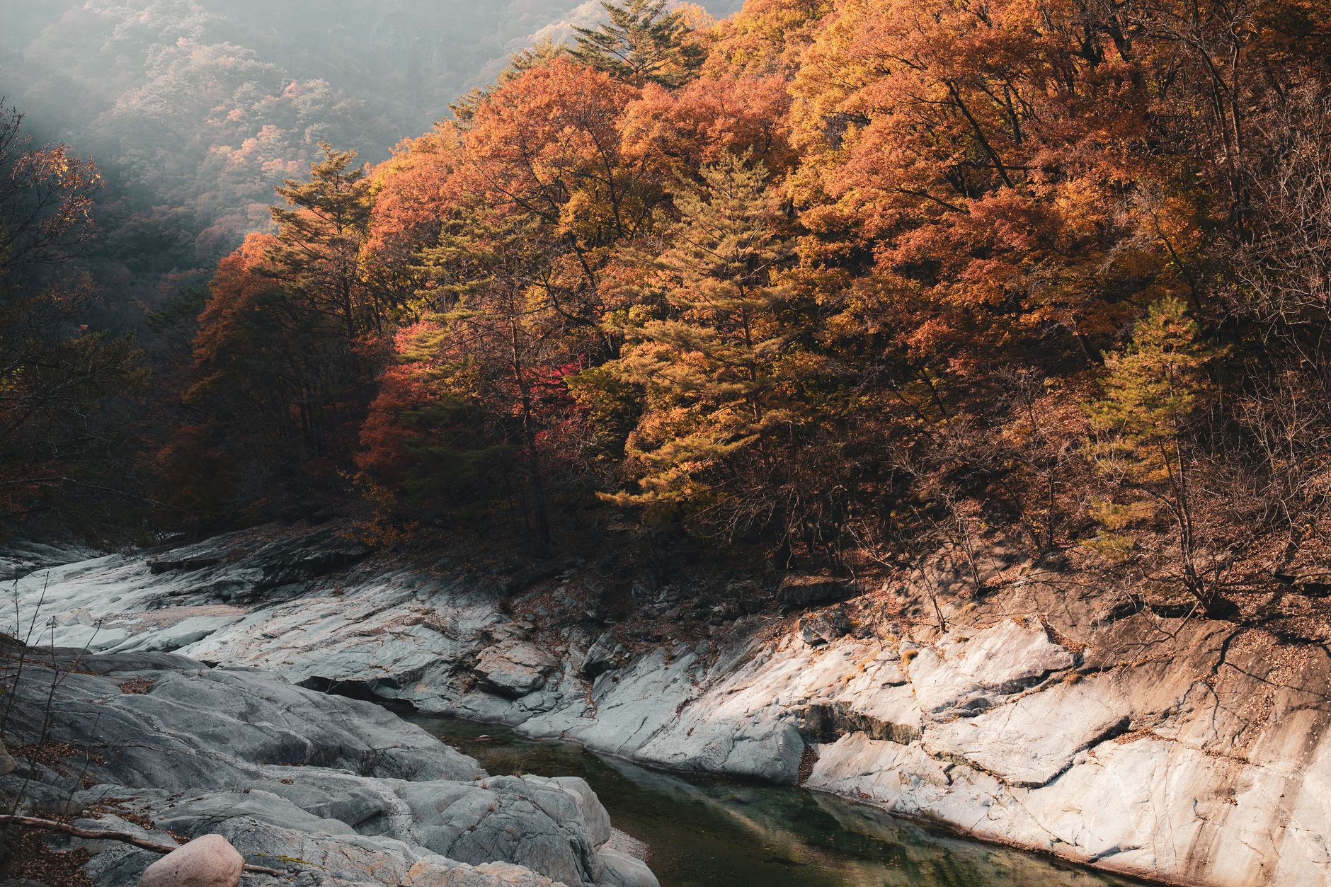 Korea autumn foliage mountain