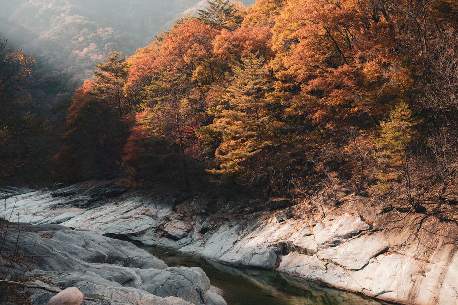 황매산 가을 억새와 핑크뮬리가 어우러진 고지대 풍경