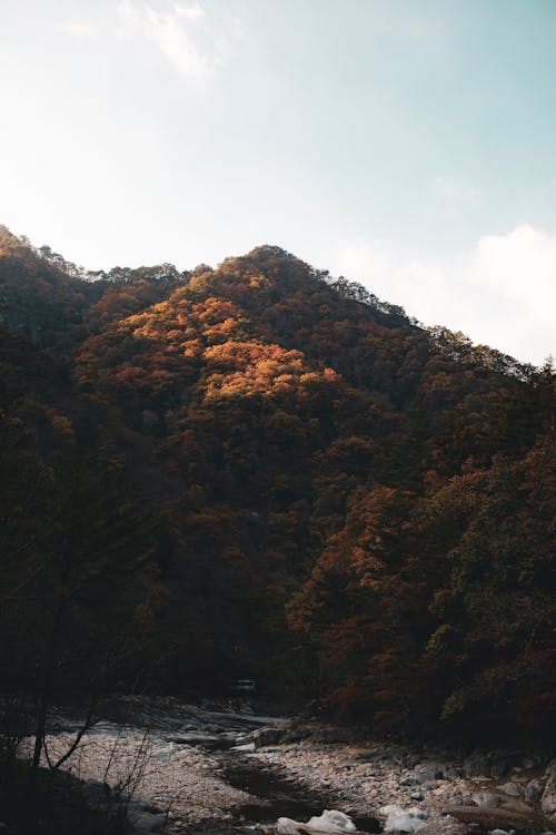 垂直拍攝, 山丘, 景觀 的 免費圖庫相片