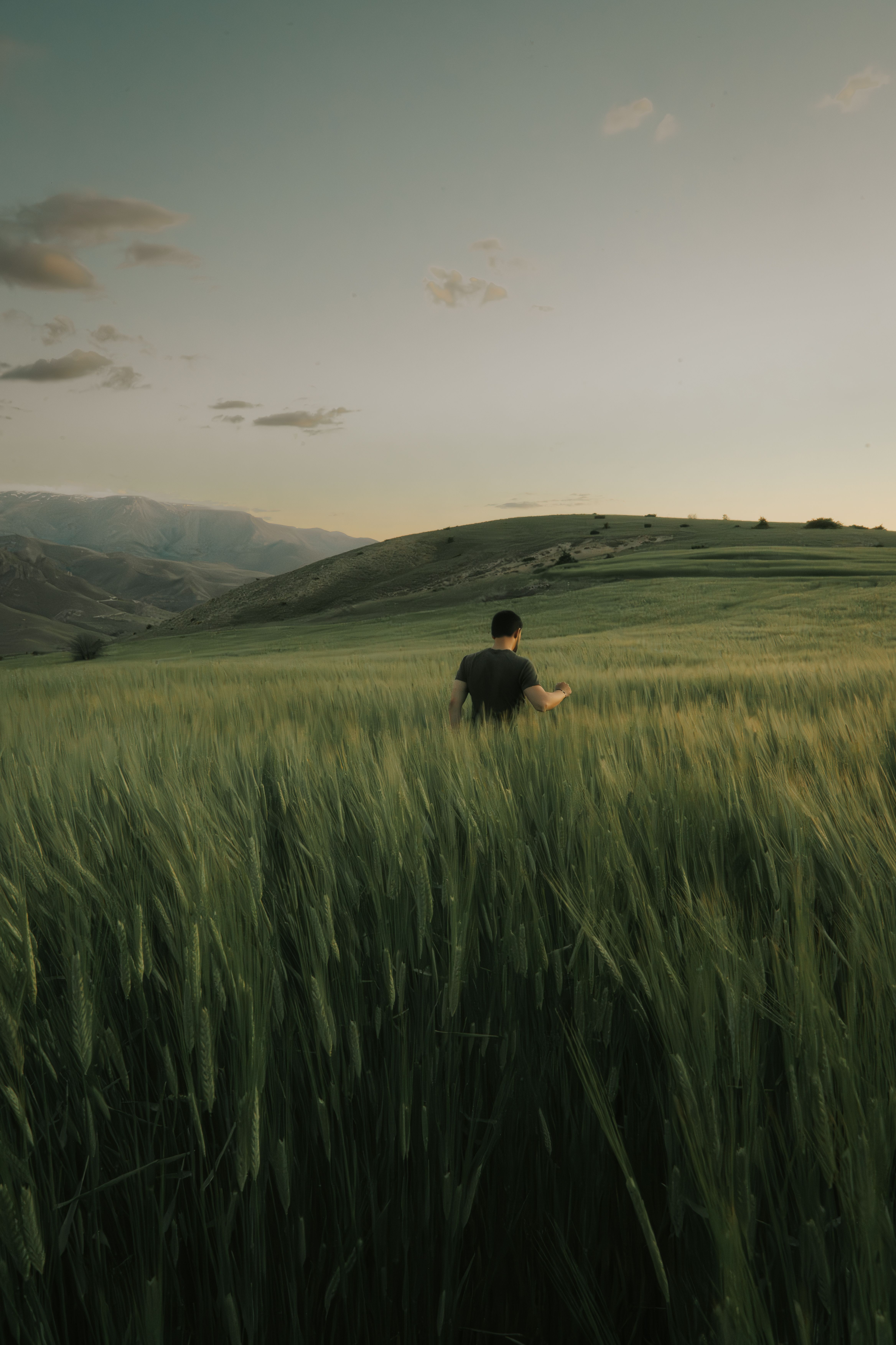 Back View of a Man on a Grass Field in the Countryside · Free Stock Photo