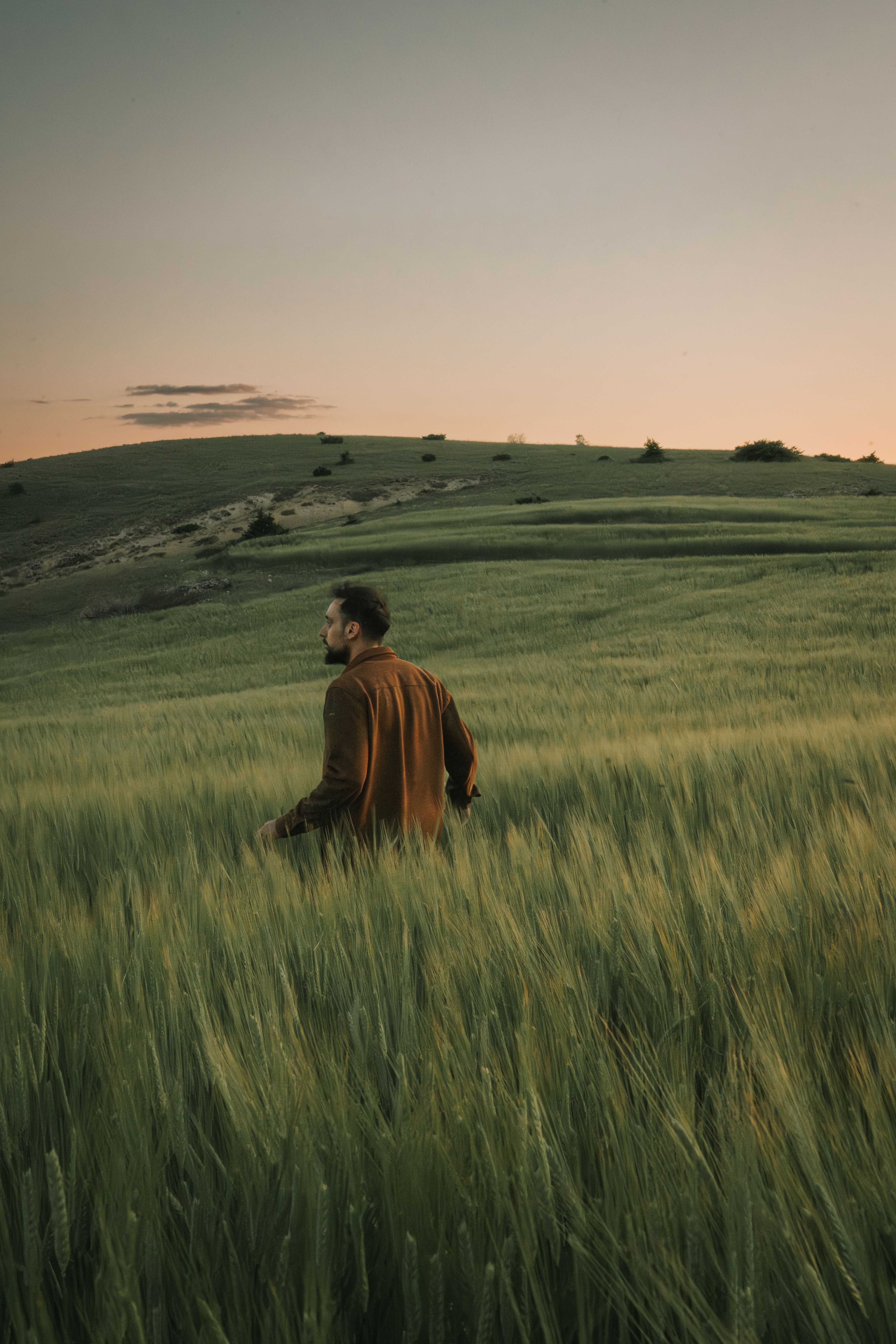 Man Standing in the Field of Barley · Free Stock Photo