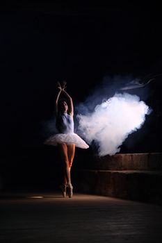 Ballet dancer gracefully performing with smoke creating a dramatic scene.