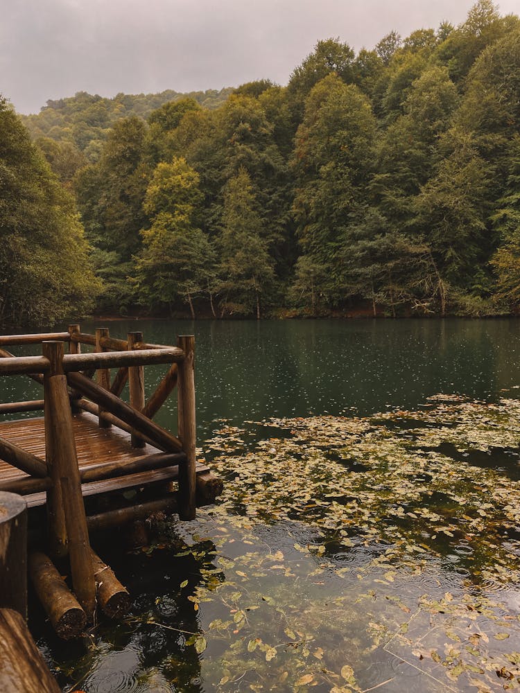 Pier By The Stream 