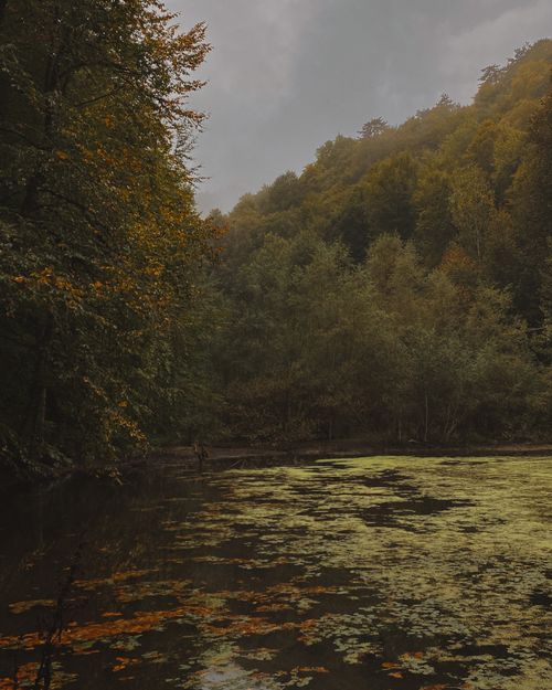 Free Serene forest lake surrounded by lush greenery and autumn foliage under cloudy skies. Stock Photo