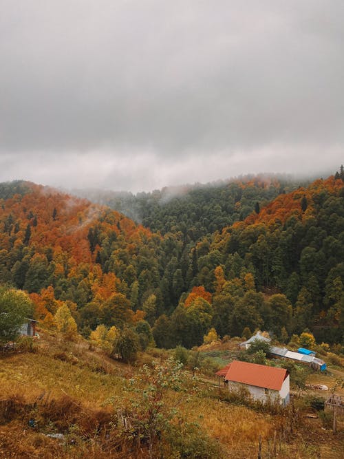 Бесплатное стоковое фото с вертикальный выстрел, деревни, деревня