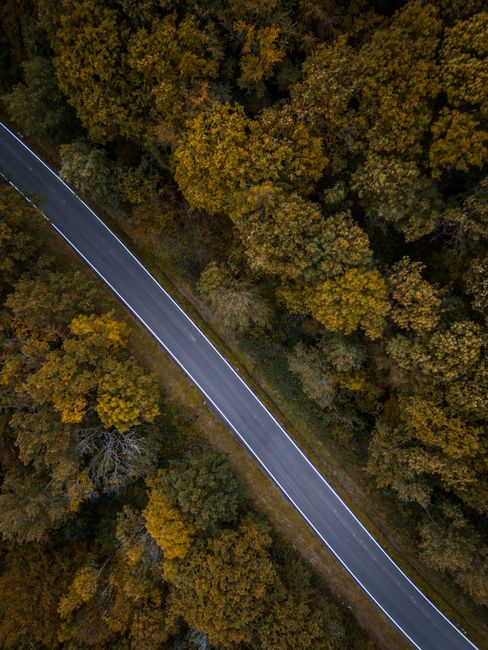 Drone shot of a peaceful rural road cutting through dense forest in autumn colors. Ideal for nature and travel themes.