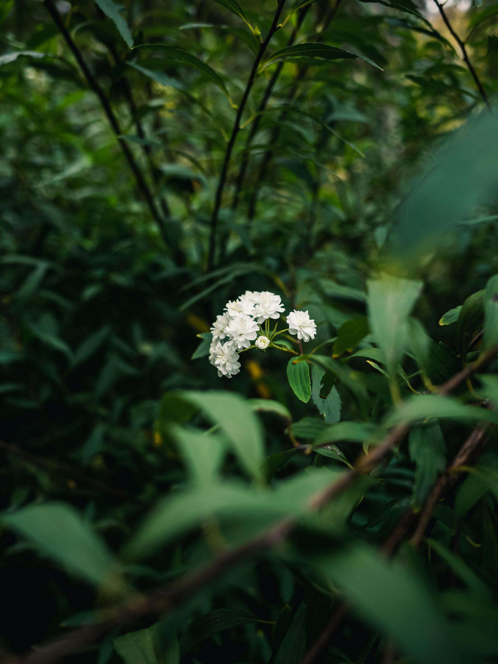 Kenzie Reeves Photos, Download The BEST Free Kenzie Reeves Stock Photos