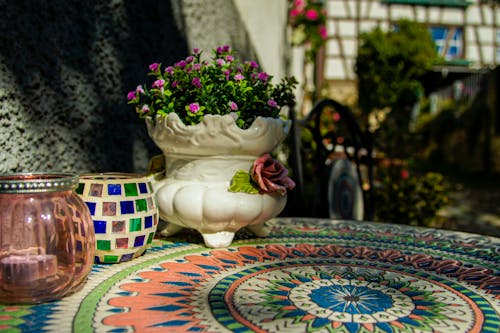 Kostnadsfri bild av blomkruka, bord, dekoration