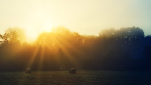 Bales of Hay on the Field at Dawn