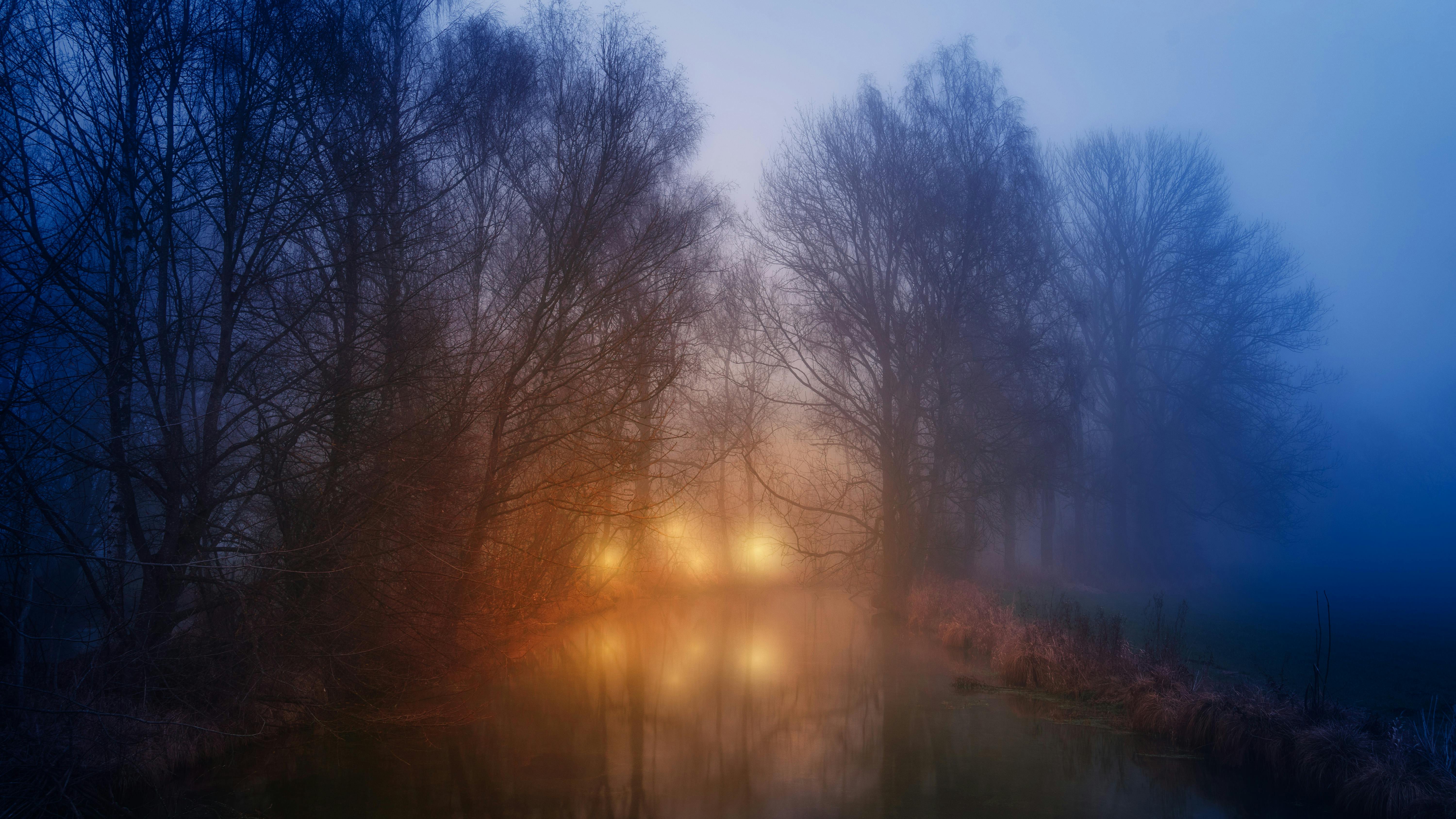 A serene foggy forest scene in Ottenhofen, featuring glowing lights reflecting on a river.