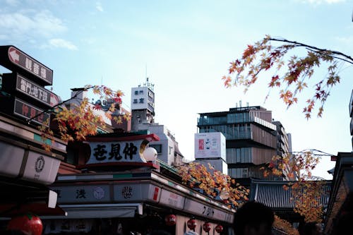 Imagine de stoc gratuită din Japonia, piață, sensoji