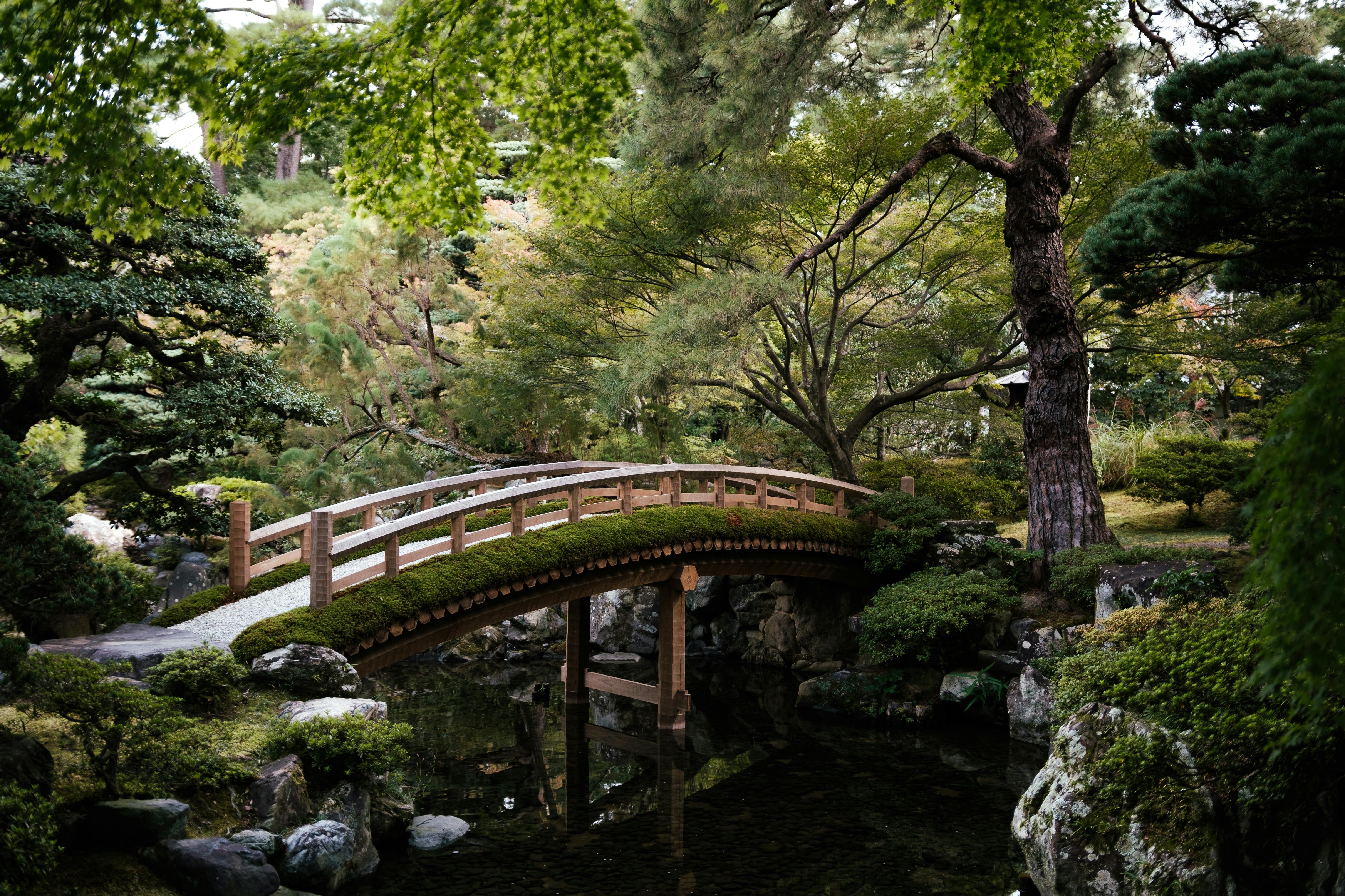 A peaceful arched bridge surrounded by lush greenery in a traditional Kyoto garden.