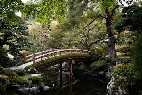 Wooden Arched Footbridge in Kyoto Gyoen National Garden