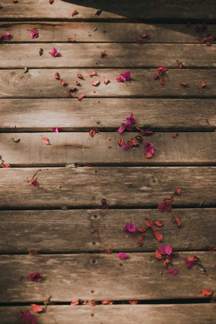 Pink And Red Flower Petals Lying Scattered On A Wooden Floor