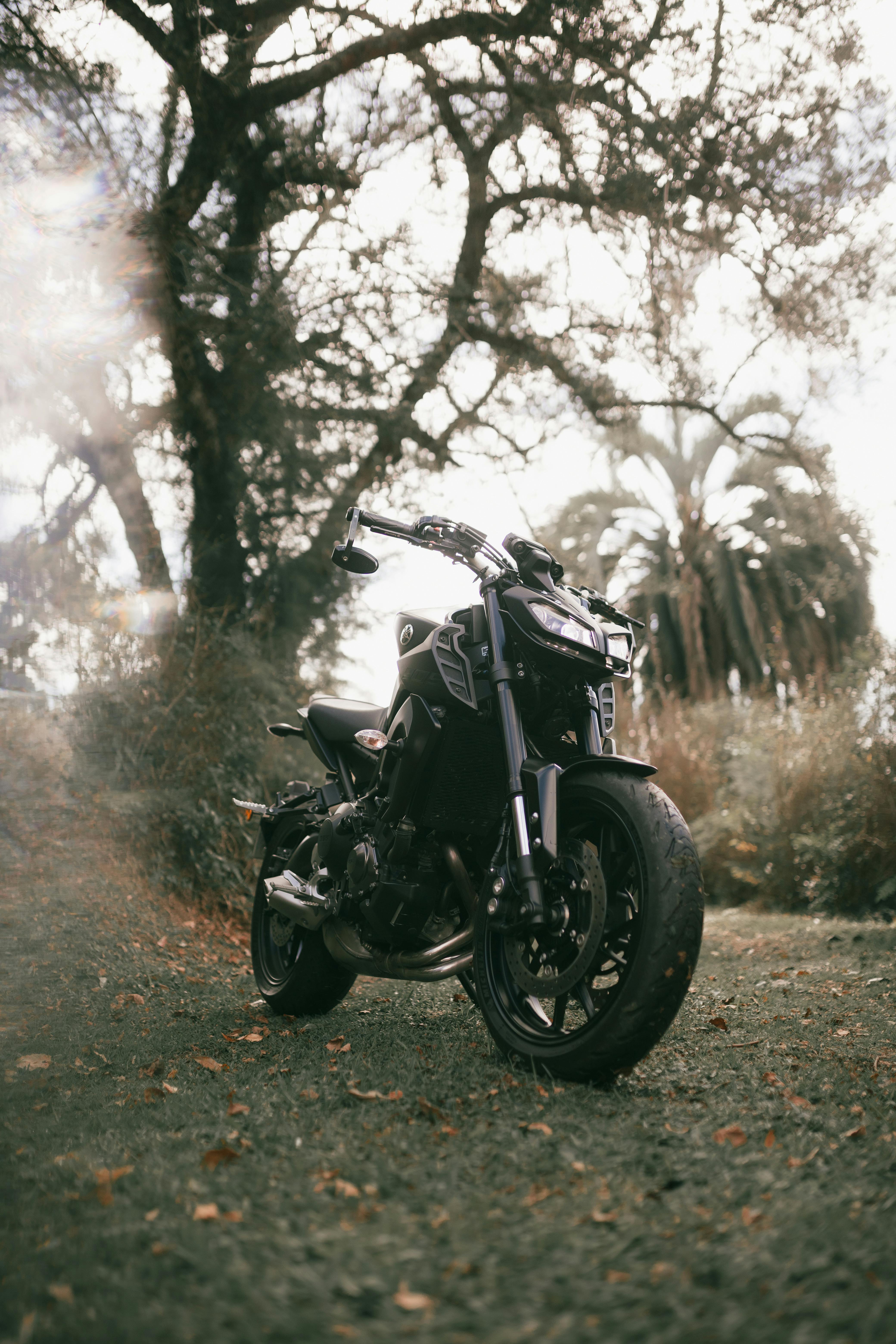 Yamaha MT-15 2024 Images - Check out design & styling | OTO