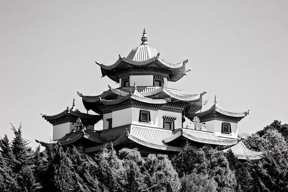 A stunning black and white image of the Khadro Ling pagoda surrounded by trees, showcasing Buddhist architecture.