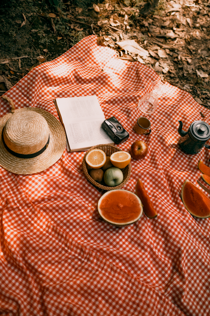 A delightful picnic setup on a red checked blanket with fruits, a hat, book, and camera.