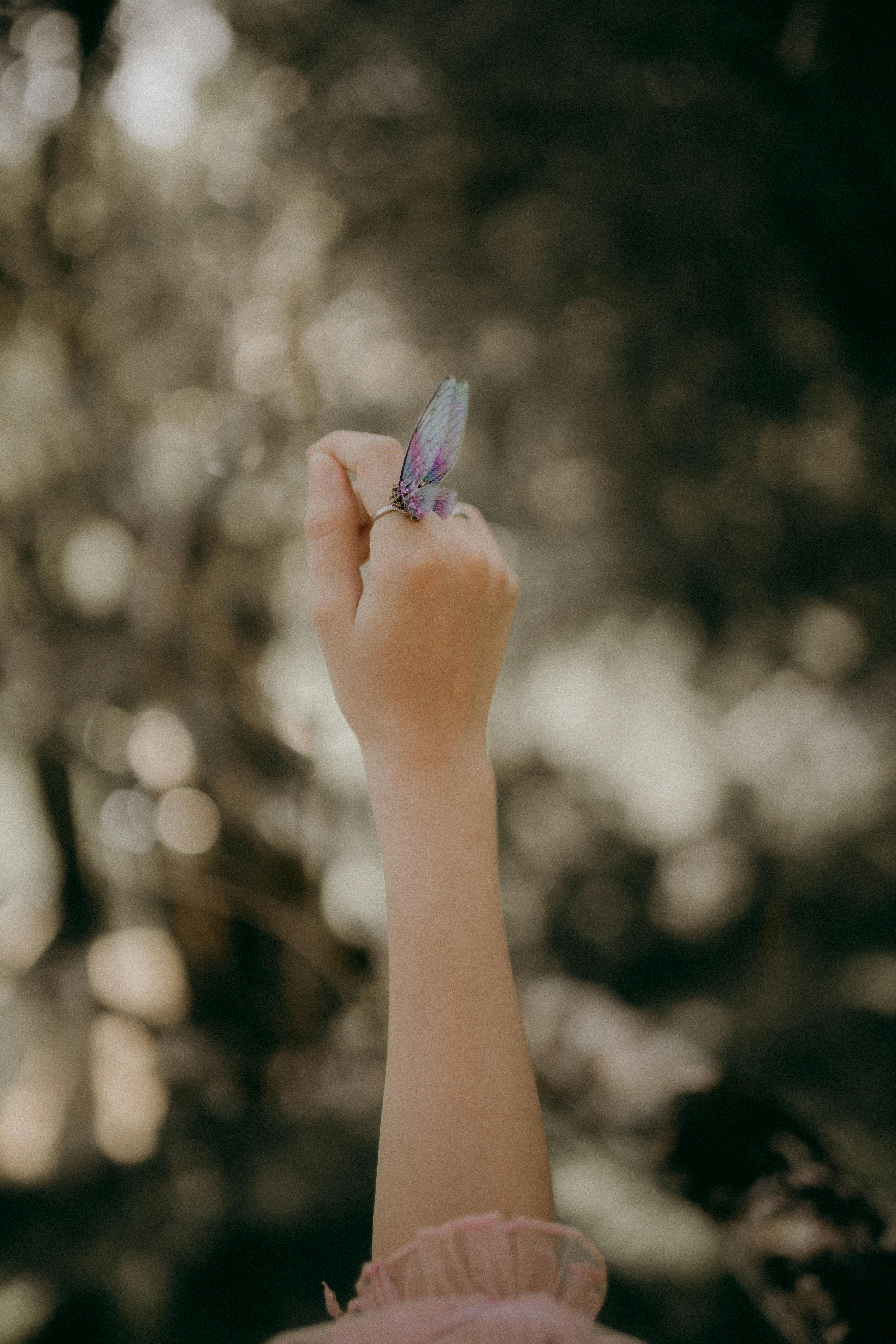 What Are The Key Elements Of A Successful Rental Property Business Plan? What Are The Key Elements Of A Successful Rental Property Business Plan?