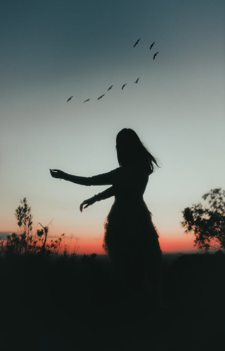 Silhouette Of Woman Dancing In Field At Dusk