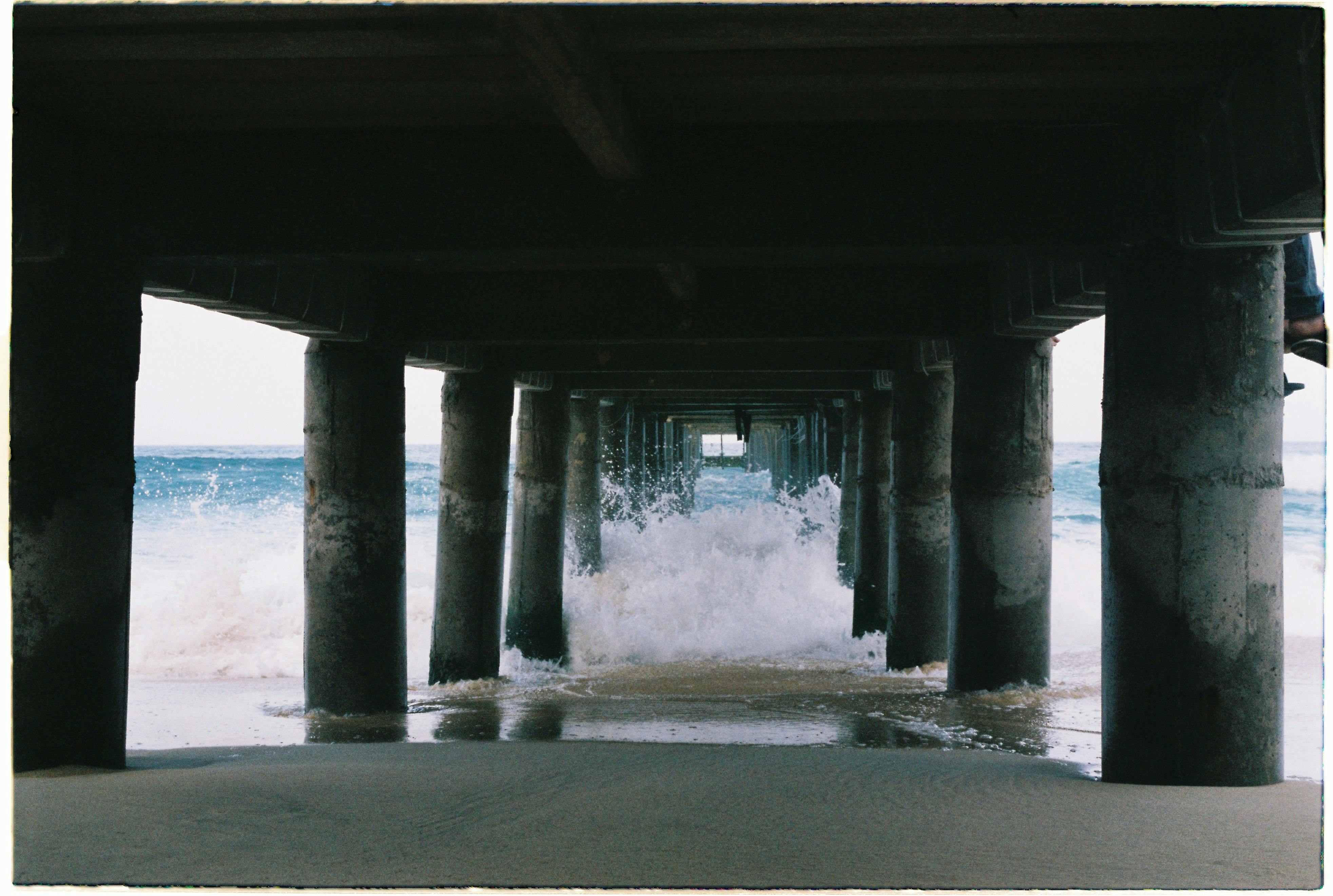 Wood Floor Mold Repair Guide 2026: Identifying and Fixing Water Damage