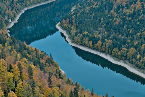 Autumn Landscape and a River 