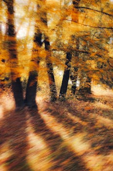 A blurry, artistic capture of an autumn forest showcasing golden foliage and tranquil nature.