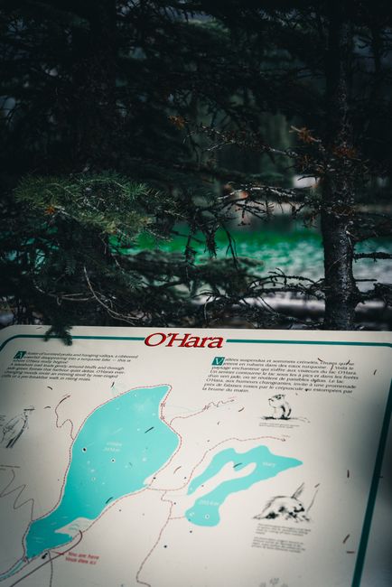 Turquoise Lake O'Hara surrounded by alpine peaks and evergreen forest in Yoho National Park