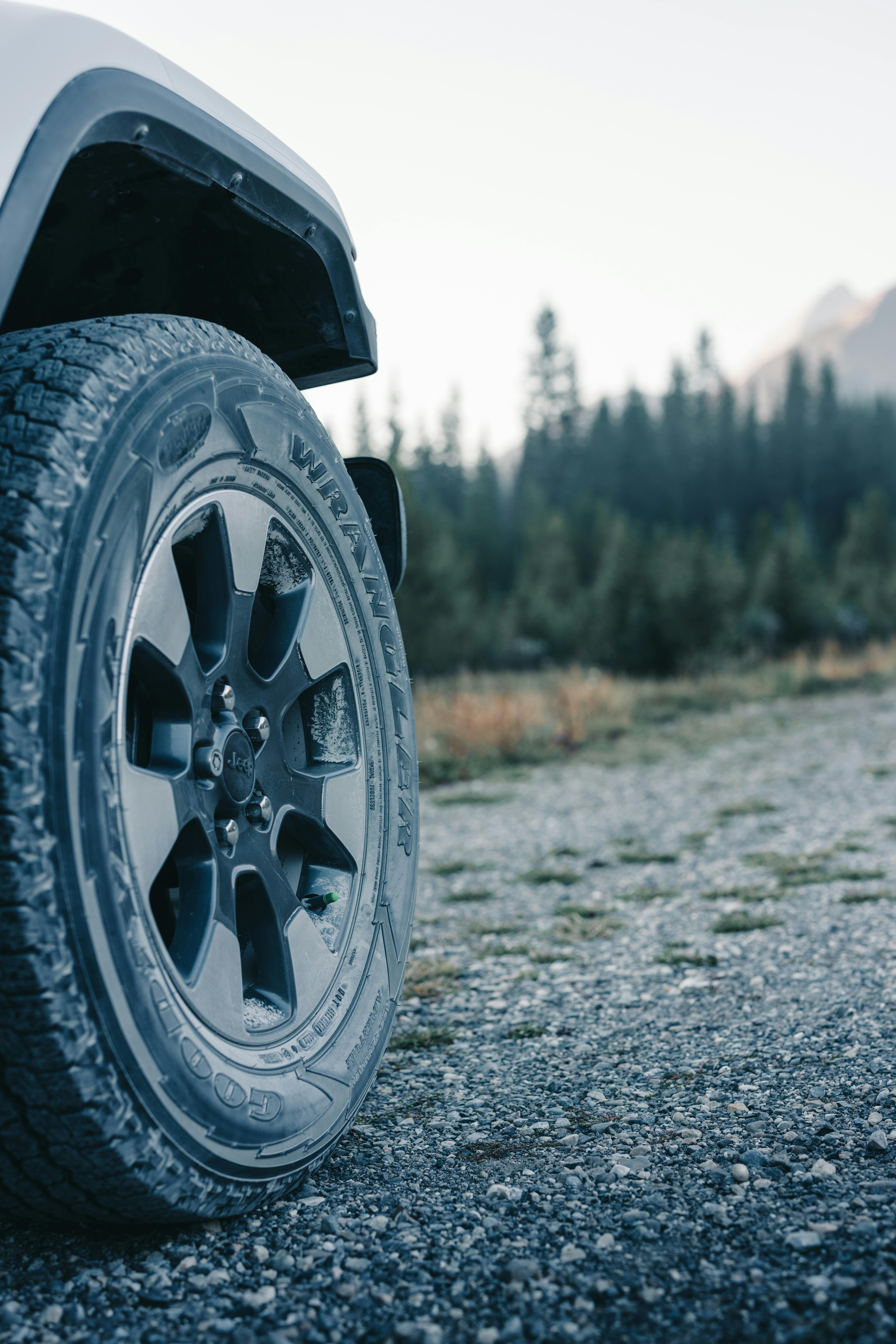 Offroading in Kananaskis · Free Stock Photo
