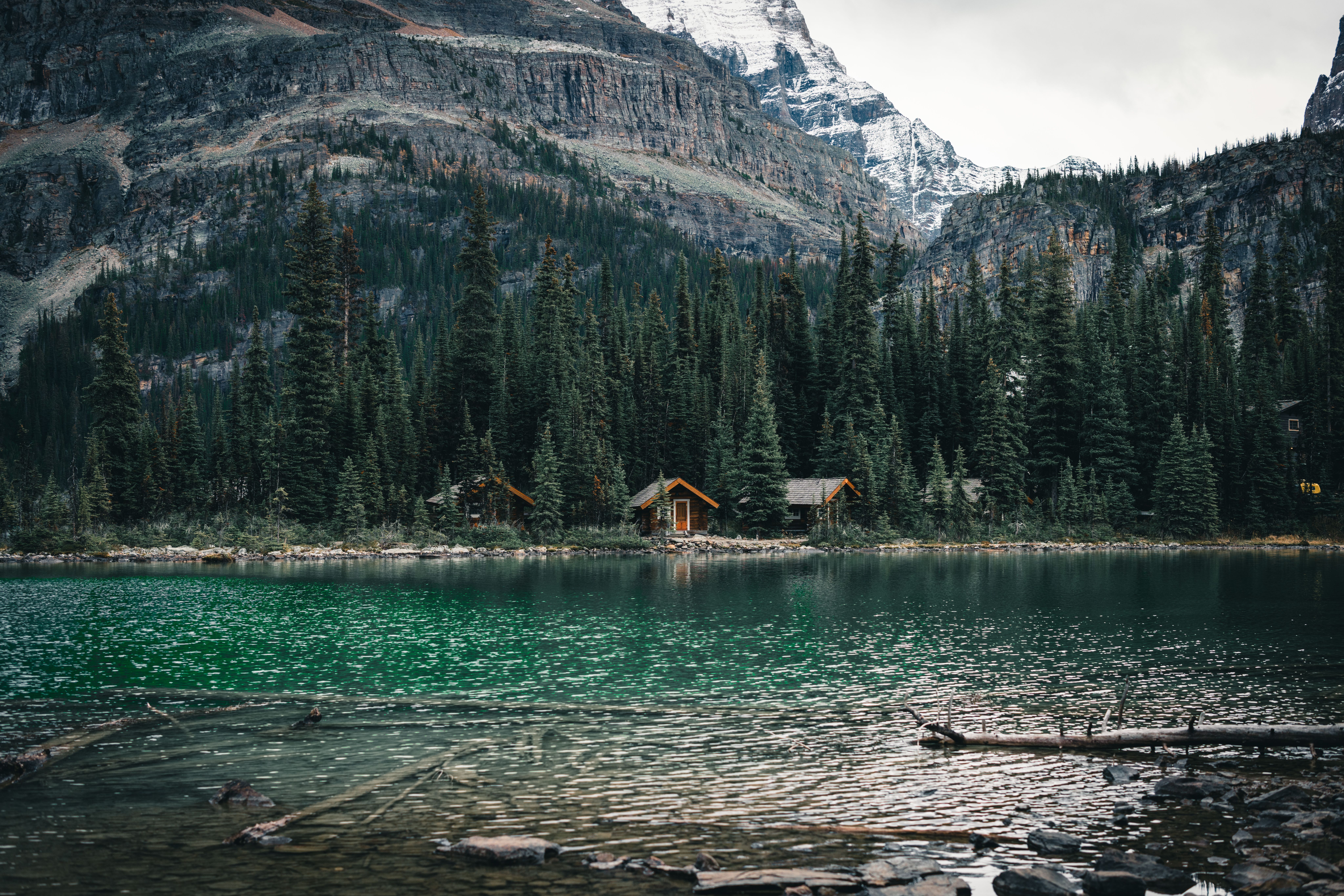 Capture the serene beauty of a cabin by Emerald Lake, surrounded by lush pines and majestic mountains.