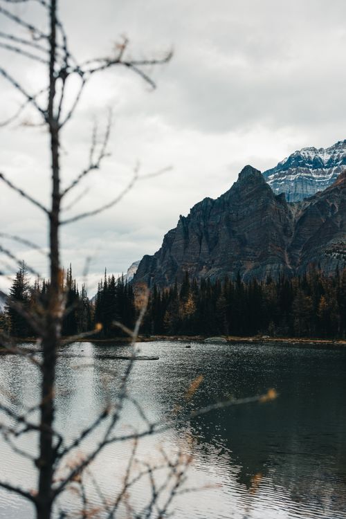 Free Serene mountain landscape in Field, BC, Canada with lake reflections. Stock Photo