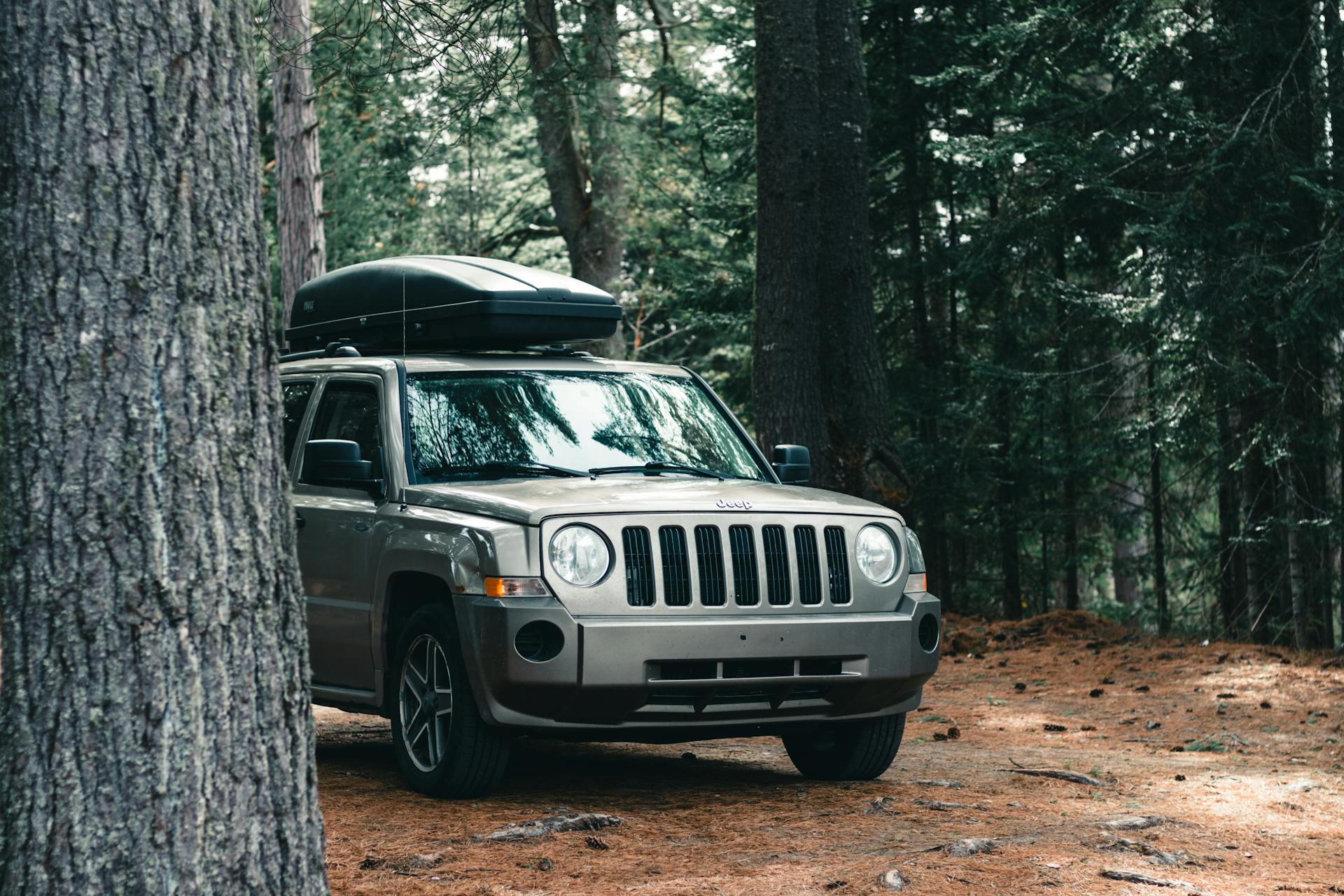 A parked SUV with a roof box in a wooded area of Algonquin Park, Canada, during fall.