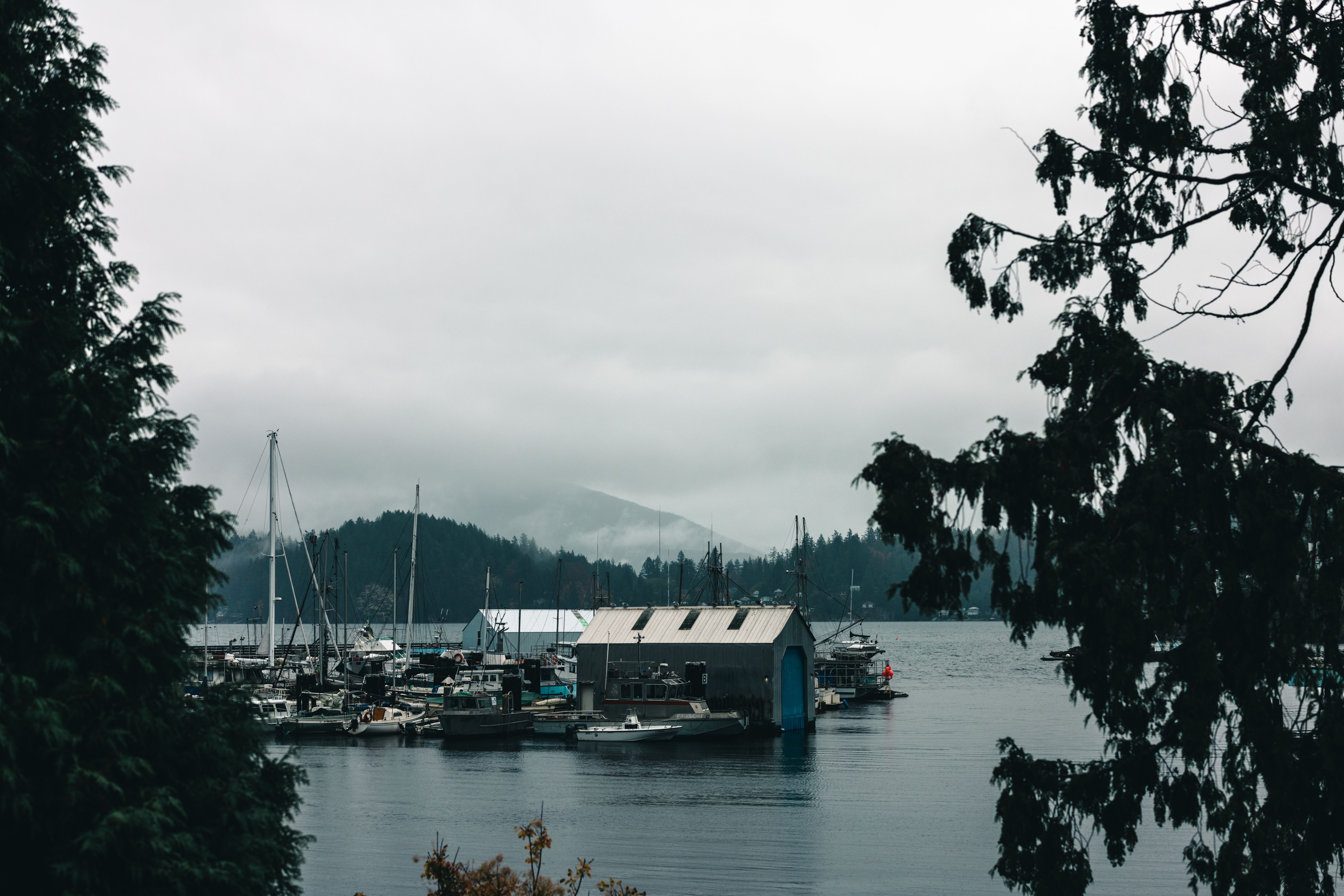 Gibsons