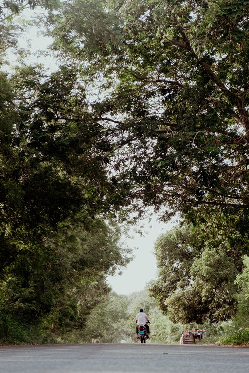 Free A motorcyclist rides down a tree-lined road in Ghana, surrounded by lush greenery. Stock Photo