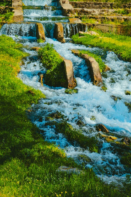 A Stream Flowing in a Park 