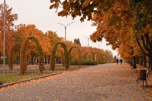 Colorful Park in Autumn