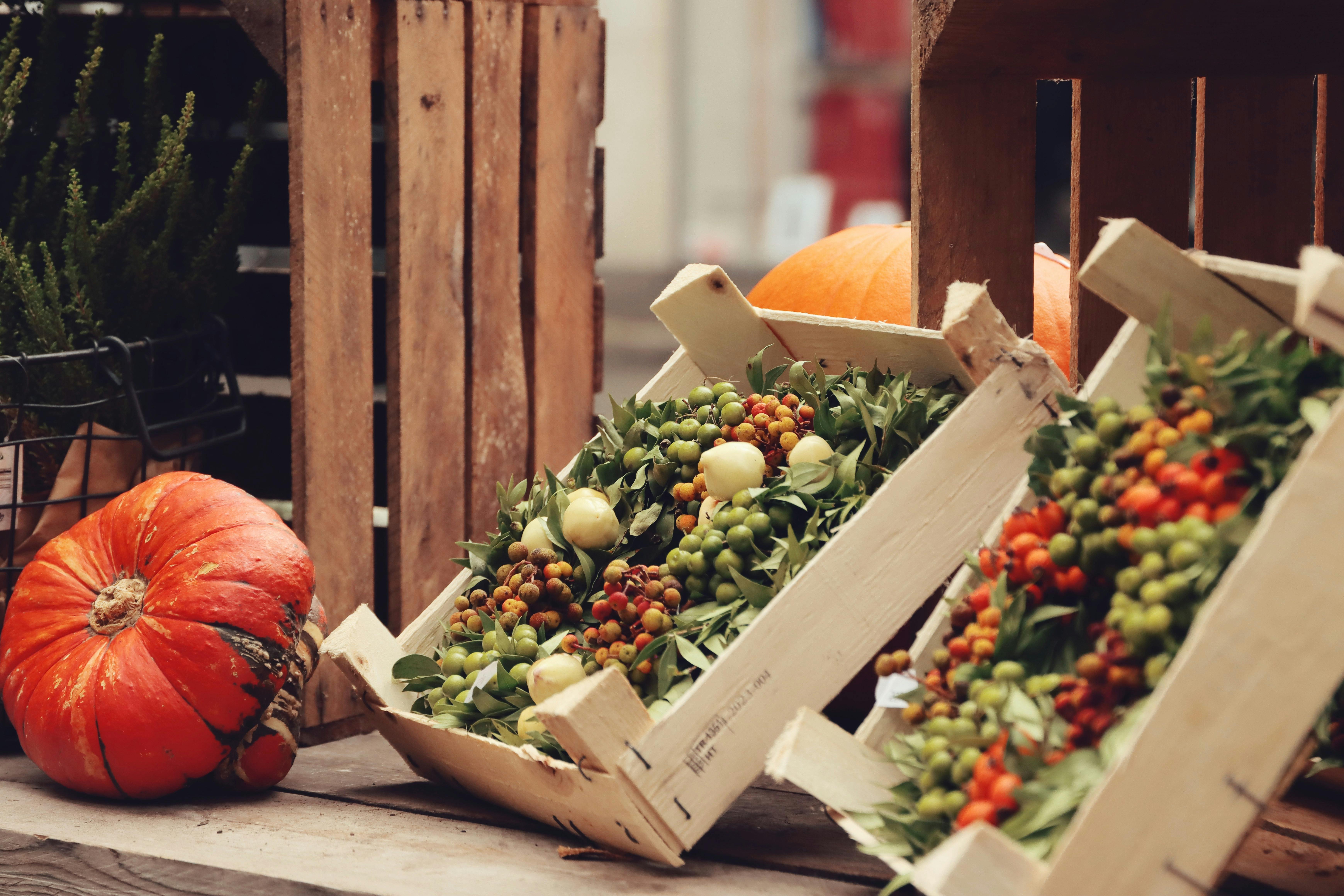 Como Aumentar O CTR Dos Seus <a href=