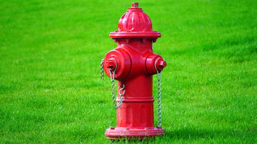 Red Fire Hydrant on Green Grass Field