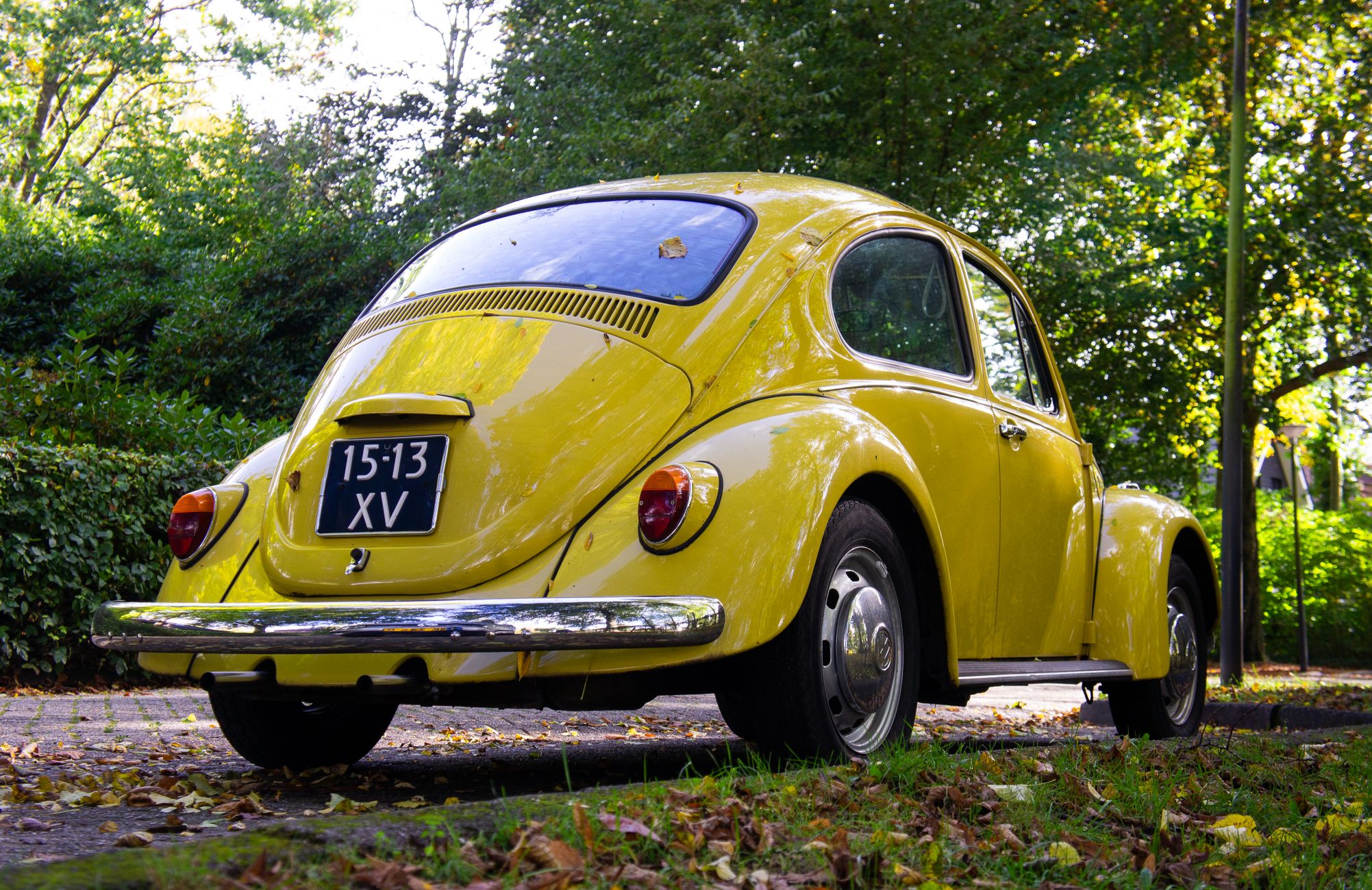 Vrouw betwijfelt auto-ongeluk in tuin en wil foto zien