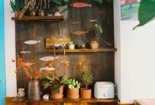 Potted Plants on Wooden Shelves decorated with Paper Craft Fish