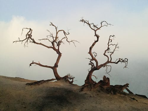 Foto stok gratis depresi - kesedihan, Indonesia, kabut