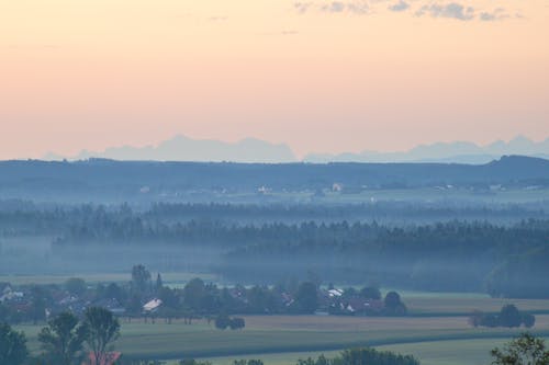 Foto d'estoc gratuïta de alps, boira, bosc