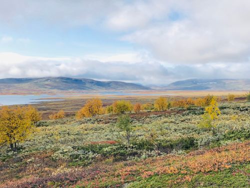 Free Beautiful autumn landscape showcasing colorful foliage, open plains, and distant mountains under a cloudy sky. Stock Photo