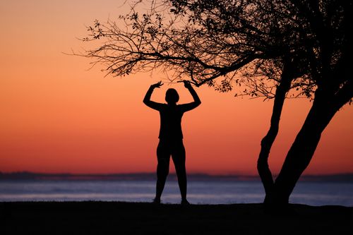 Free Silhouette of an individual stretching near a tree with a stunning sunset backdrop by the ocean. Stock Photo