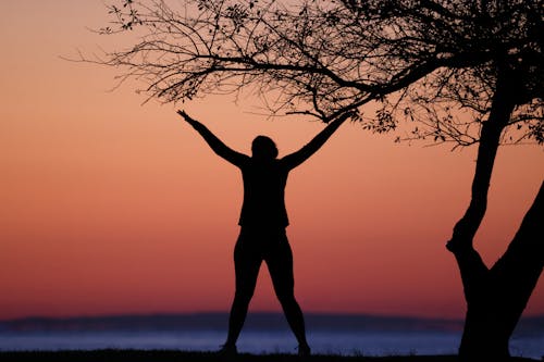 Silhouette of Person Standing with Arms Raised at Dusk