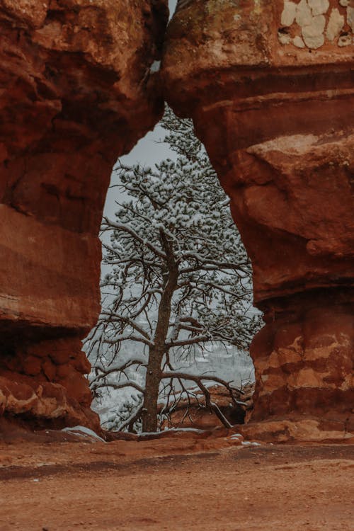 Foto profissional grátis de Colorado, jardim dos deuses, montanhas