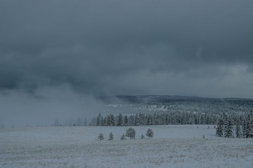 コールド, 冬, 平野の無料の写真素材