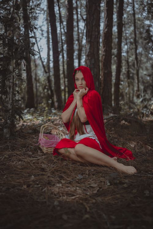 Free A young girl in a red hood sits in a forest, evoking fairy tale magic and mystery. Stock Photo