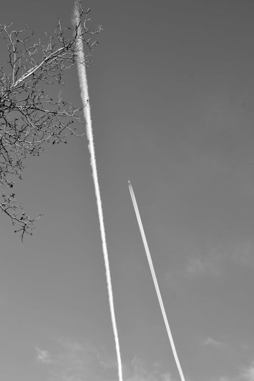 Foto profissional grátis de aeronaves, árvore, céu